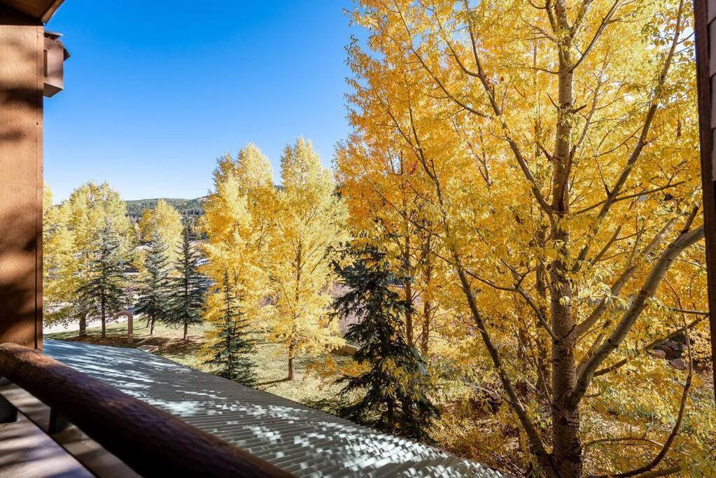 Ski-In/Ski-Out Zephyr 1 Bedroom Condo Winter Park Exterior photo